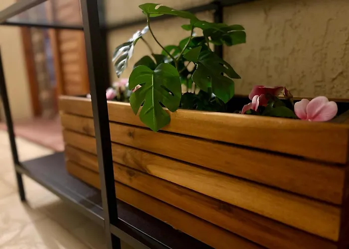 Casa Angolo Sul Mare Lägenhet *