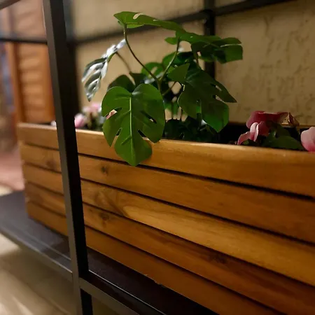 Casa Angolo Sul Mare 아파트 *